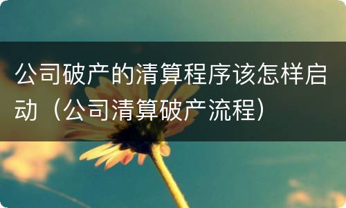 公司破产的清算程序该怎样启动（公司清算破产流程）