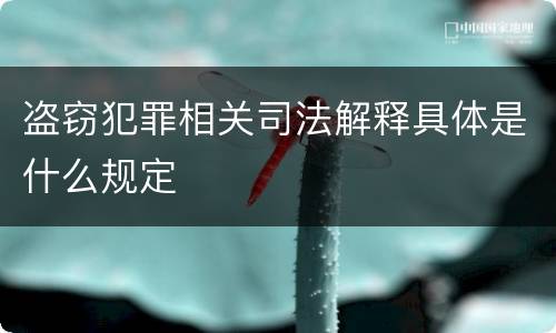 盗窃犯罪相关司法解释具体是什么规定