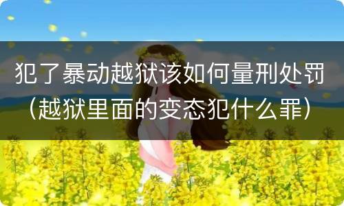 犯了暴动越狱该如何量刑处罚（越狱里面的变态犯什么罪）