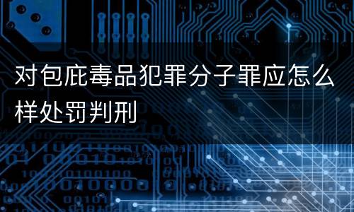 对包庇毒品犯罪分子罪应怎么样处罚判刑