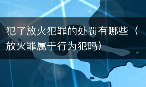 犯了放火犯罪的处罚有哪些（放火罪属于行为犯吗）
