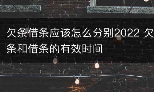 欠条借条应该怎么分别2022 欠条和借条的有效时间