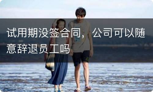 试用期没签合同，公司可以随意辞退员工吗