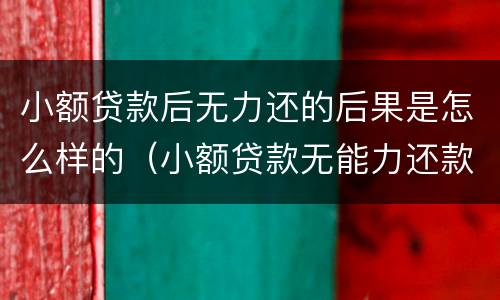 小额贷款后无力还的后果是怎么样的（小额贷款无能力还款怎么办）