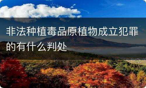 非法种植毒品原植物成立犯罪的有什么判处