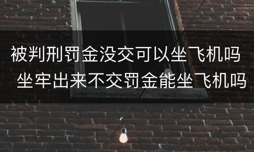 被判刑罚金没交可以坐飞机吗 坐牢出来不交罚金能坐飞机吗