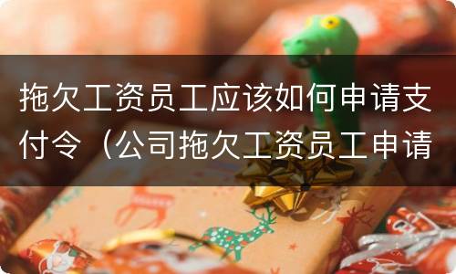 拖欠工资员工应该如何申请支付令（公司拖欠工资员工申请支付令需要付钱吗）