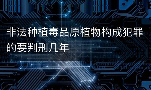 非法种植毒品原植物构成犯罪的要判刑几年