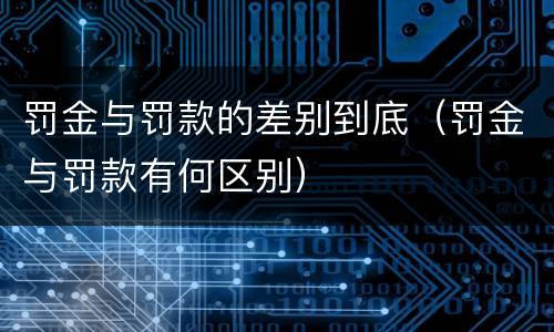 罚金与罚款的差别到底（罚金与罚款有何区别）