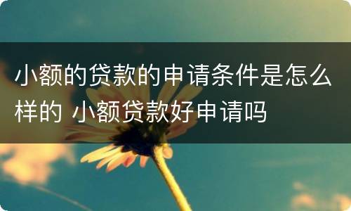 小额的贷款的申请条件是怎么样的 小额贷款好申请吗