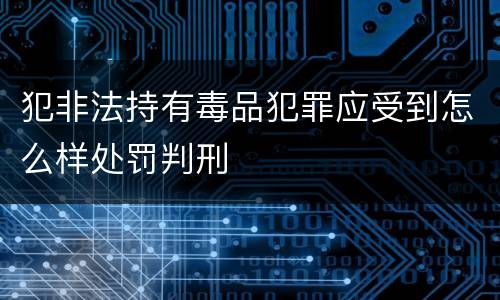 犯非法持有毒品犯罪应受到怎么样处罚判刑