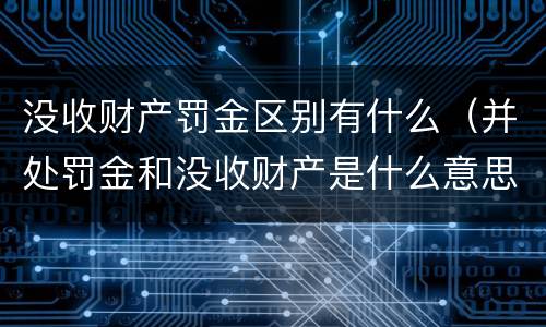 没收财产罚金区别有什么（并处罚金和没收财产是什么意思）