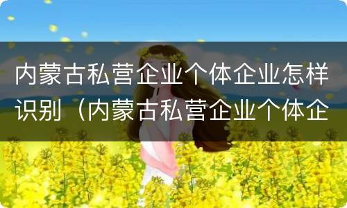 内蒙古私营企业个体企业怎样识别（内蒙古私营企业个体企业怎样识别企业名称）