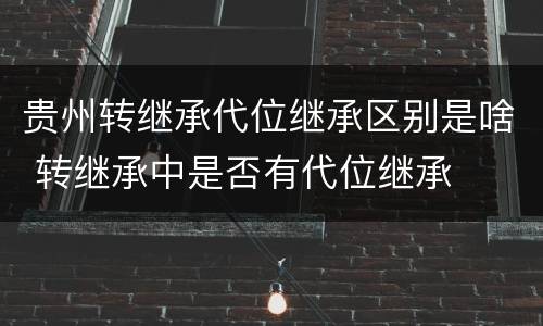 贵州转继承代位继承区别是啥 转继承中是否有代位继承