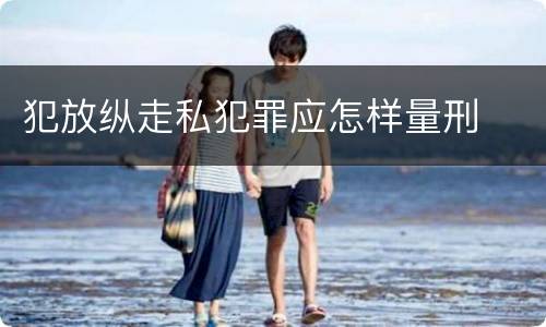 犯放纵走私犯罪应怎样量刑