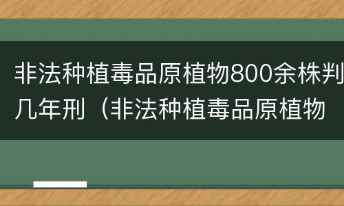 非法种植毒品原植物800余株判几年刑（非法种植毒品原植物800余株判几年刑罚）