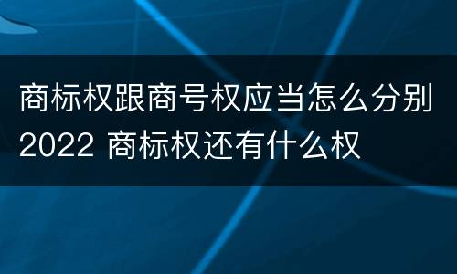 商标权跟商号权应当怎么分别2022 商标权还有什么权