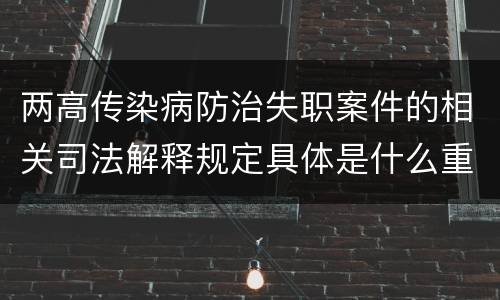 两高传染病防治失职案件的相关司法解释规定具体是什么重要内容