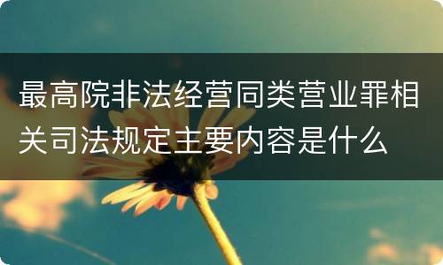 最高院非法经营同类营业罪相关司法规定主要内容是什么