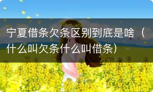 宁夏借条欠条区别到底是啥（什么叫欠条什么叫借条）
