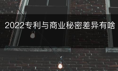 2022专利与商业秘密差异有啥