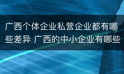 广西个体企业私营企业都有哪些差异 广西的中小企业有哪些