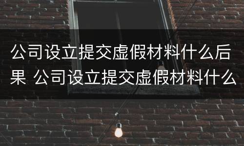 公司设立提交虚假材料什么后果 公司设立提交虚假材料什么后果啊