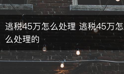 逃税45万怎么处理 逃税45万怎么处理的