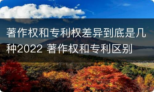 著作权和专利权差异到底是几种2022 著作权和专利区别