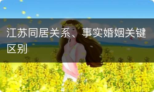 江苏同居关系、事实婚姻关键区别