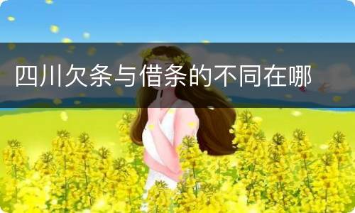 四川欠条与借条的不同在哪