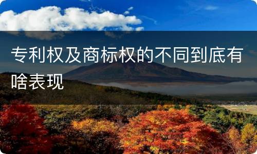 专利权及商标权的不同到底有啥表现