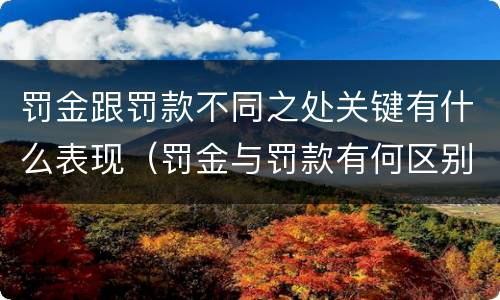 罚金跟罚款不同之处关键有什么表现（罚金与罚款有何区别）