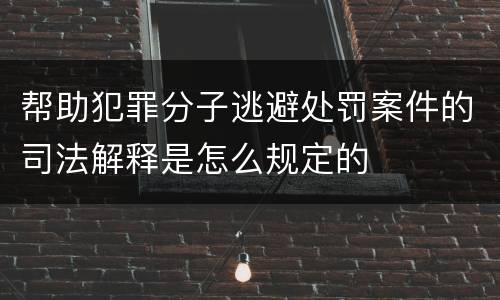 帮助犯罪分子逃避处罚案件的司法解释是怎么规定的