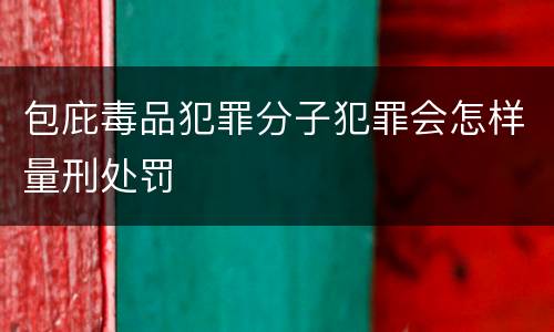 包庇毒品犯罪分子犯罪会怎样量刑处罚