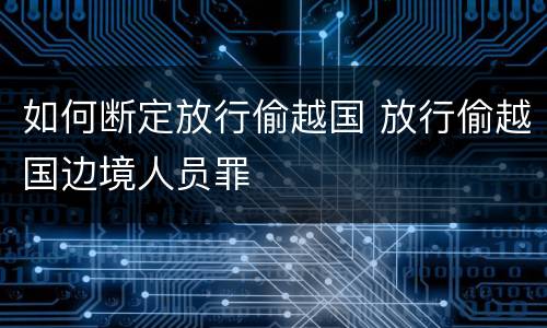 如何断定放行偷越国 放行偷越国边境人员罪