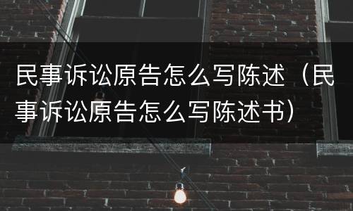 民事诉讼原告怎么写陈述（民事诉讼原告怎么写陈述书）