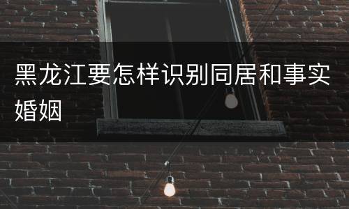 黑龙江要怎样识别同居和事实婚姻