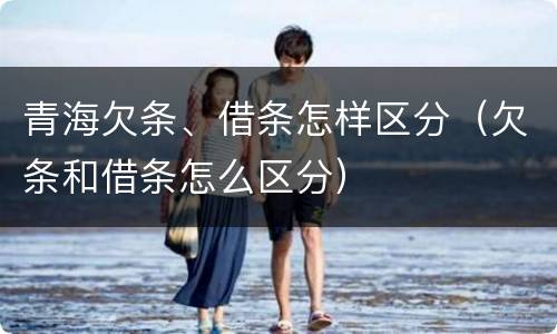 青海欠条、借条怎样区分（欠条和借条怎么区分）