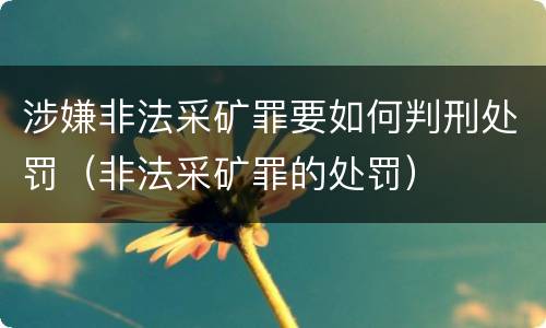 涉嫌非法采矿罪要如何判刑处罚（非法采矿罪的处罚）