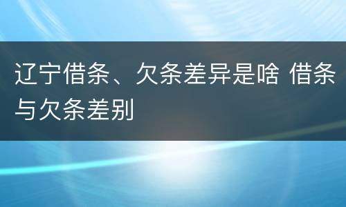 辽宁借条、欠条差异是啥 借条与欠条差别