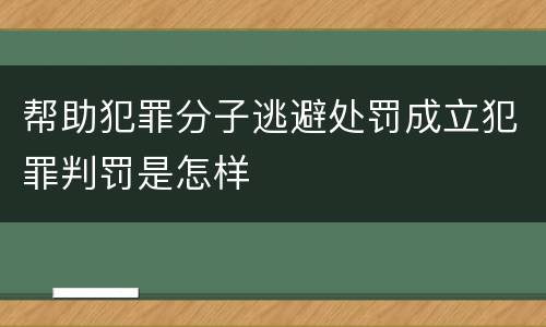 帮助犯罪分子逃避处罚成立犯罪判罚是怎样