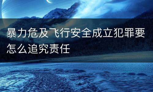 暴力危及飞行安全成立犯罪要怎么追究责任