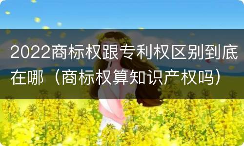 2022商标权跟专利权区别到底在哪（商标权算知识产权吗）