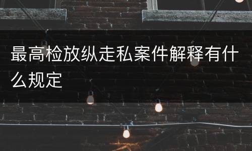 最高检放纵走私案件解释有什么规定