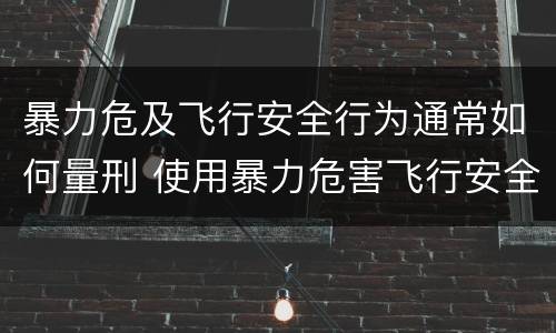 暴力危及飞行安全行为通常如何量刑 使用暴力危害飞行安全罪的主要特征