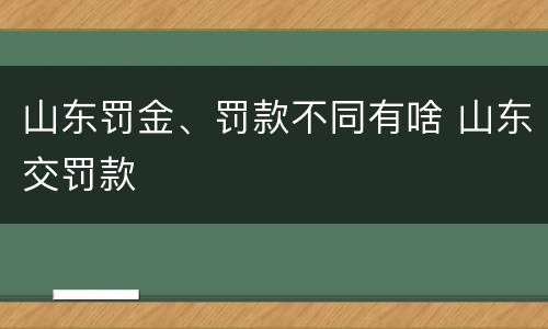 山东罚金、罚款不同有啥 山东交罚款