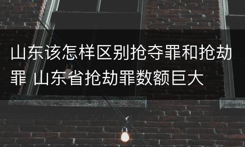 山东该怎样区别抢夺罪和抢劫罪 山东省抢劫罪数额巨大