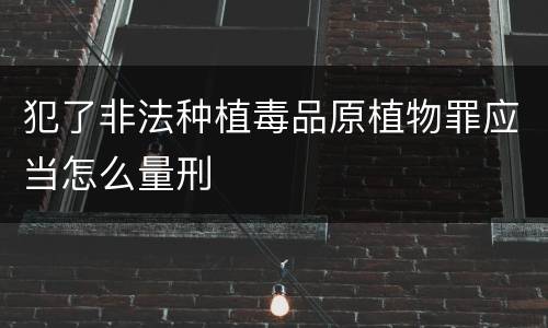 犯了非法种植毒品原植物罪应当怎么量刑