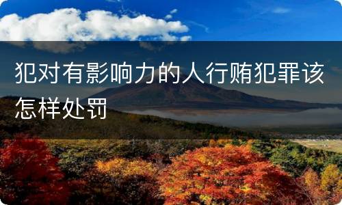 犯对有影响力的人行贿犯罪该怎样处罚